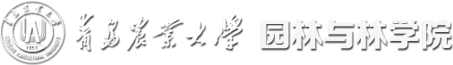 tyc234cc太阳成集团