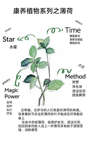 tyc234cc太阳成集团举办“绿满花绽·科普绘春”植物科普图设计大赛